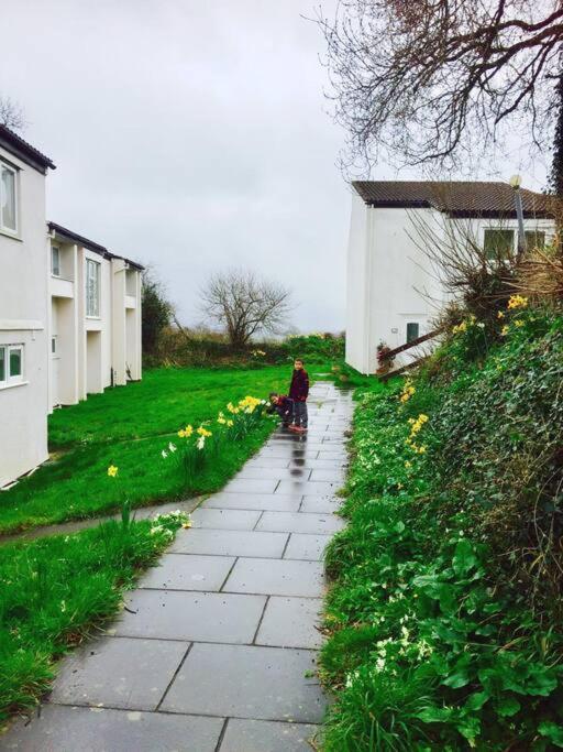 Tamar Valley, Cornwall Callington Ngoại thất bức ảnh