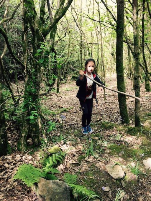 Tamar Valley, Cornwall Callington Ngoại thất bức ảnh