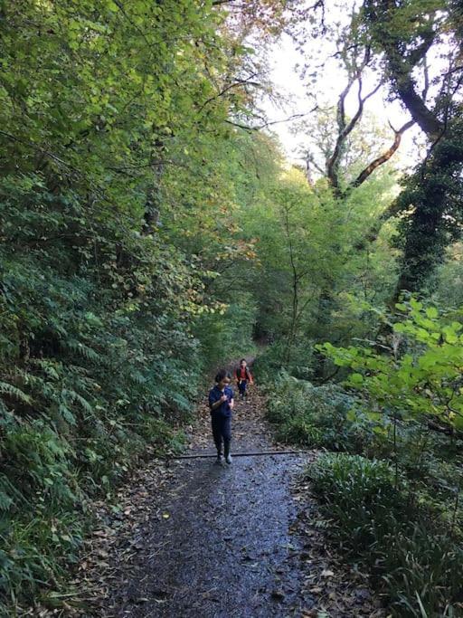 Tamar Valley, Cornwall Callington Ngoại thất bức ảnh